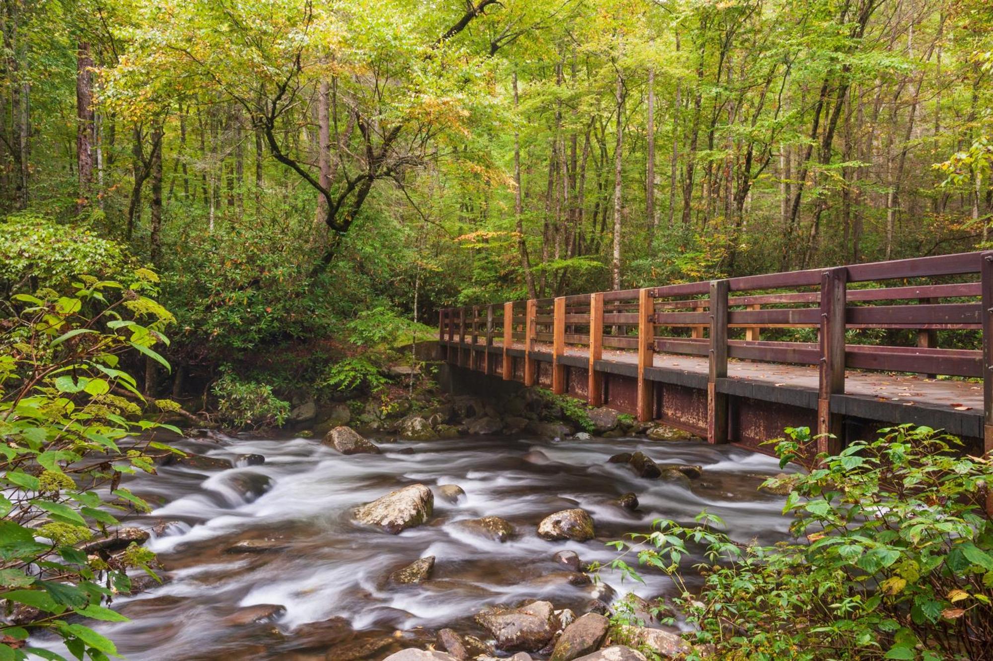 Suite Sensations, Hot Tub, Pool Table, 1089 Free Tickets Each Paid Day, Dollywood And More Pigeon Forge Luaran gambar